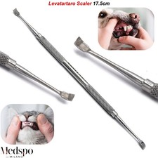 Igiene Orale di Cani e Gatti Detartrasi Veterinaria Rimozione Tartaro Ablatore