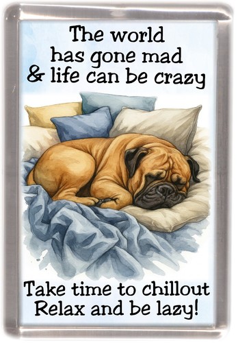 Calamita frigo bullmastiff - calamita,