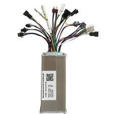 Regolatore Motore Brushless