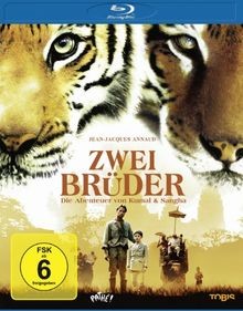 Zwei brüder blu - brüder, von
