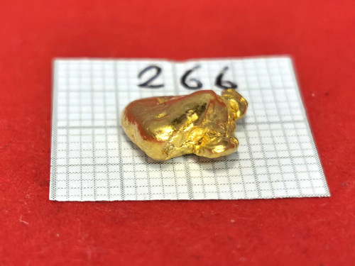 305 grammi vera pepita oro - grammi,