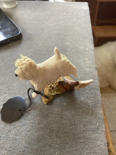 West highland white terrier - west,
