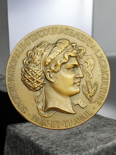 Francia medaglia bronzo - francia, 5cm