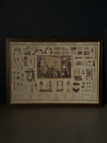 Tavola didattica arti - tavola,