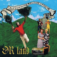 lotto vinili 33 giri