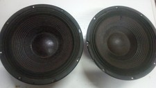 Coppia altoparlanti woofer