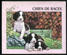 ENGLISH SPRINGER SPANIEL