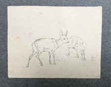 Antico disegno a matita