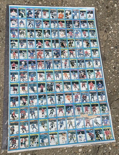 Raro 1979 opc pee chee - raro!, 1979-80