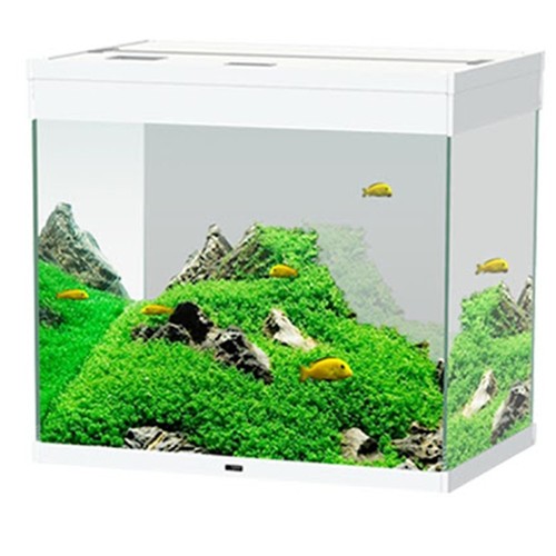 Acquario completo ciano - completo,