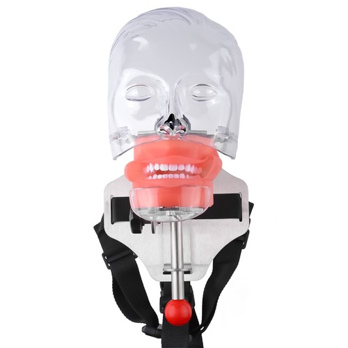 Simulatore dentale nissin - simulatore,