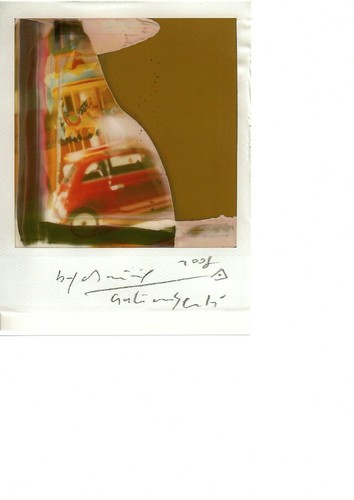 Polaroid galimberti maurizio - galimberti,