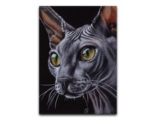 ACEO arte originale SPHYNX