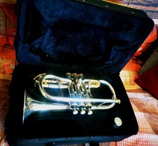 Flicornino in Mib Comet