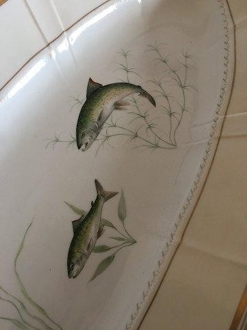 Vassoio portata per pesce - da,
