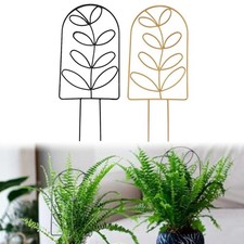 Telaio Arrampicata Set 2