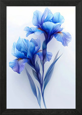 Poster vintage Iris con