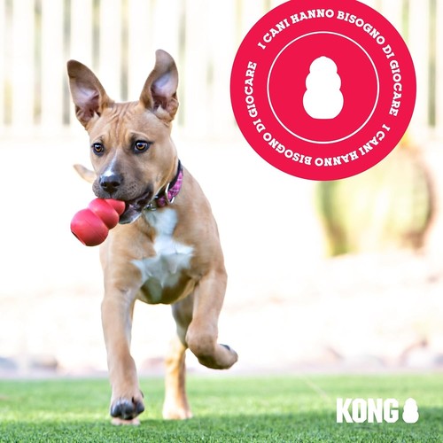 Kong classic giocattolo - kong,
