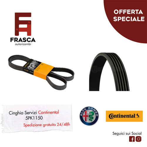 Cinghia servizi poly - cinghia,