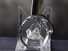 Lagotto Romagnolo, Cane