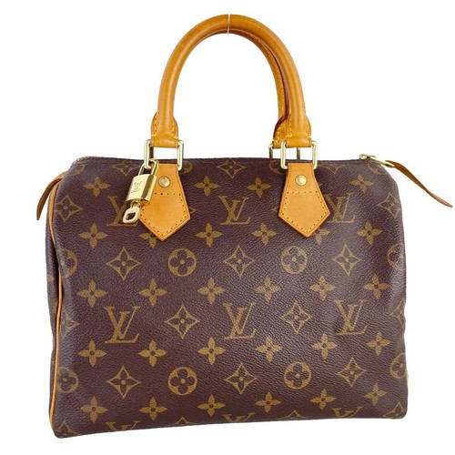 Borsa mano louis vuitton - louis,