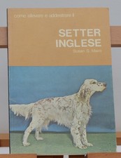 ANIMALI CANI CACCIA IL SETTER