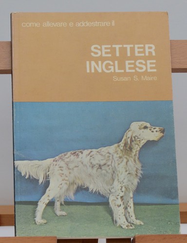 Animali cani caccia setter - caccia,