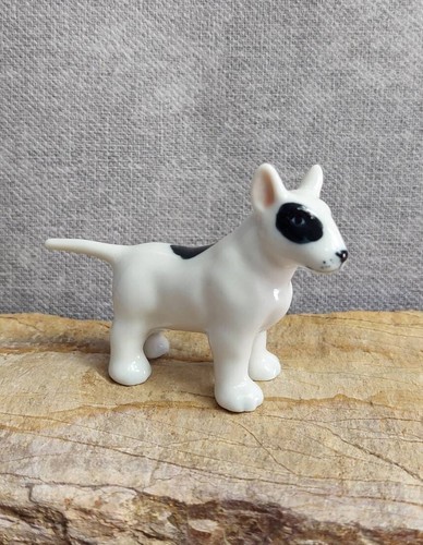 Bull terrier casa - terrier,