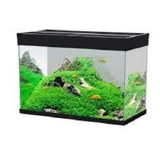 Askoll 280283 Emotion PRO LED