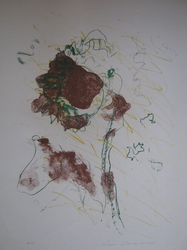 Ernesto treccani fiori 1970 - treccani,