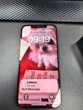 Apple iPhone 12 Pro Max -