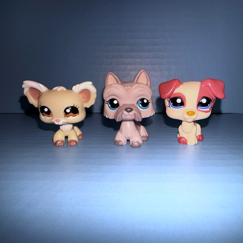 Littlest pet shop set - pet,