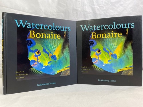 Watercolours bonaire - watercolours,