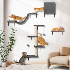 Parete da Arrampicata Gatto -