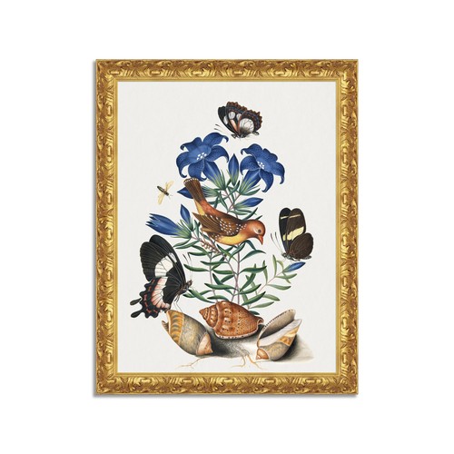 Quadro stampa tela - quadro, su