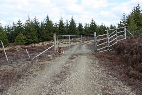Photo 6x4 entrance - entrance, to