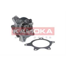 Pompa Acqua di Raffreddamento