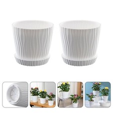  2 Sets Vasetto Pianta Grassa