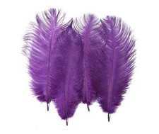 50 piume di struzzo 15-20 cm