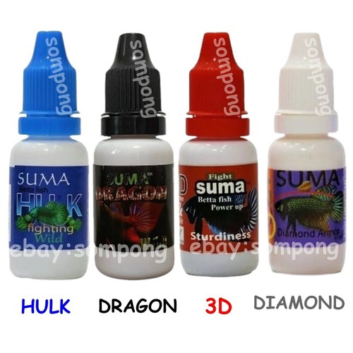 Betta fish suma - fish,
