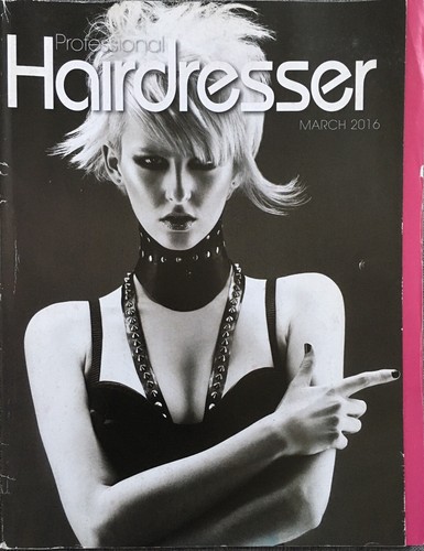 Professional hairdresser - professional,
