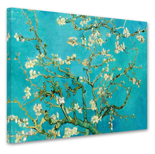 Vincent van gogh fiori - van,