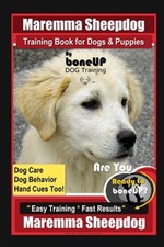 Maremma sheepdog training - sheepdog,
