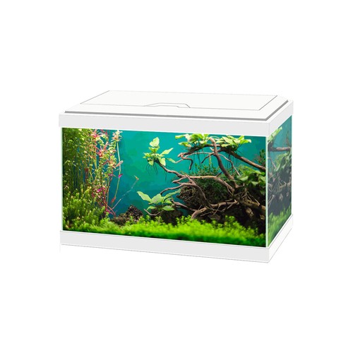 Askoll ciao aqua - ciao, led