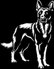 Adesivo MALINOIS - adesivo