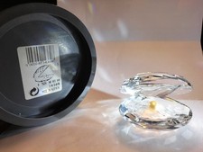 Conchiglia “Aquatic