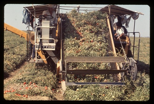 Sl26 slide 1980 - sl26,