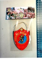 scudetto gagliardetto legno