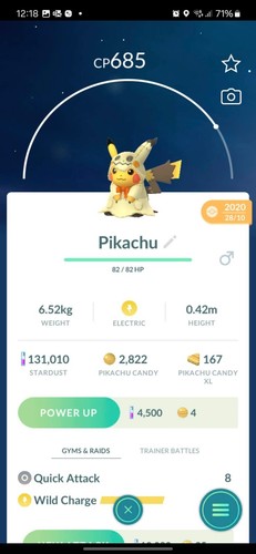 Pokémon pikachu con - pokémon,