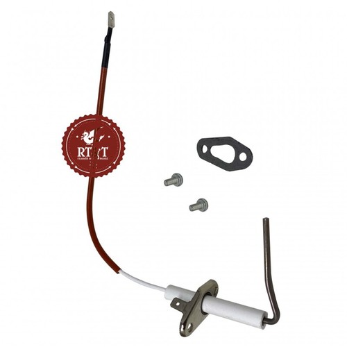 Elettrodo rilevazione ariston - elettrodo,